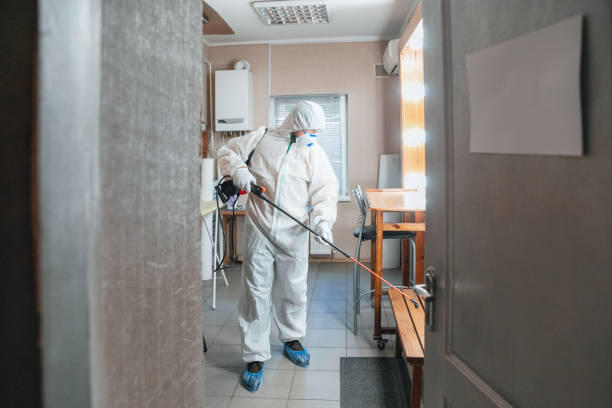 Best Indoor Air Quality Assessment  in Dove Valley, CO