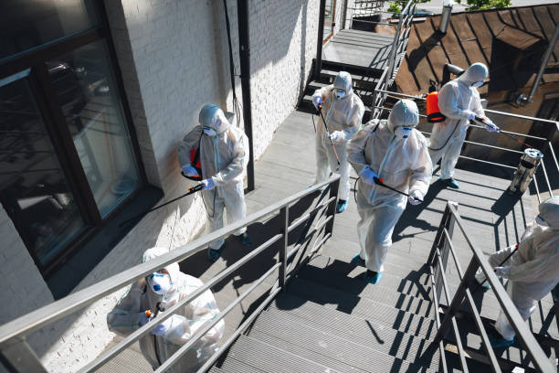 Best Basement Mold Removal  in Dove Valley, CO