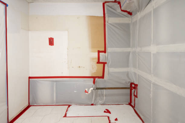 Best Industrial Mold Remediation  in Dove Valley, CO