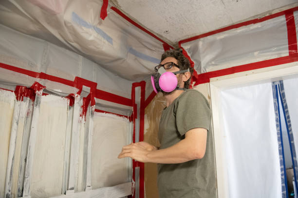 Best Post-Remediation Verification Testing  in Dove Valley, CO