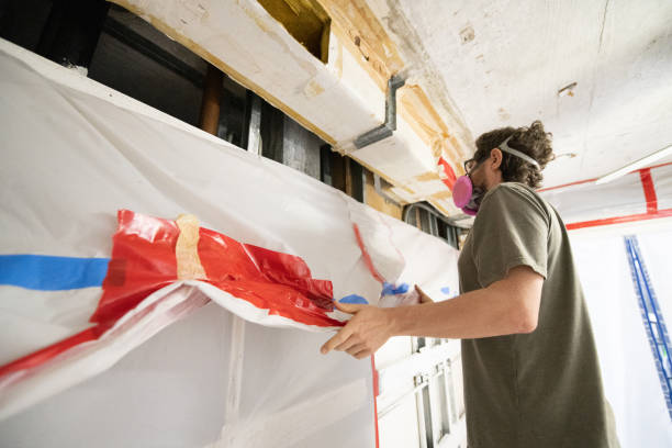 Best Crawl Space Mold Remediation  in Dove Valley, CO
