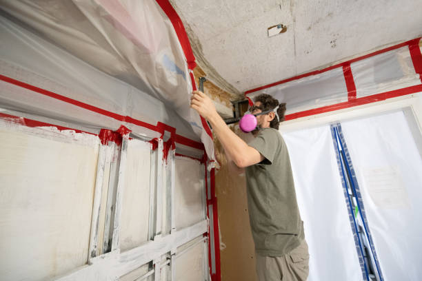 Best Emergency Mold Remediation  in Dove Valley, CO