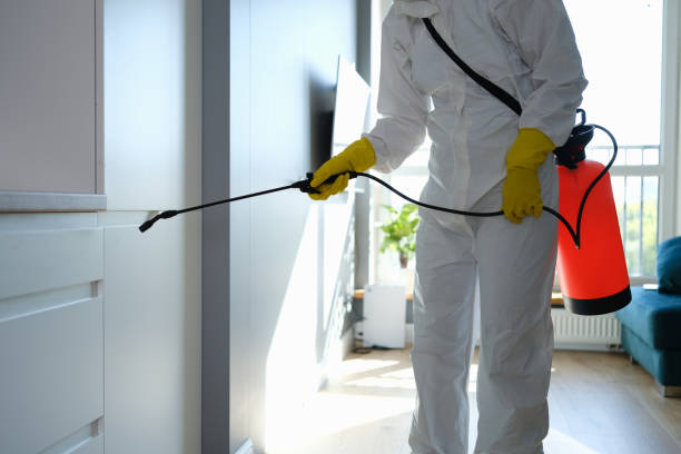 Best Mold Odor Removal Services  in Dove Valley, CO